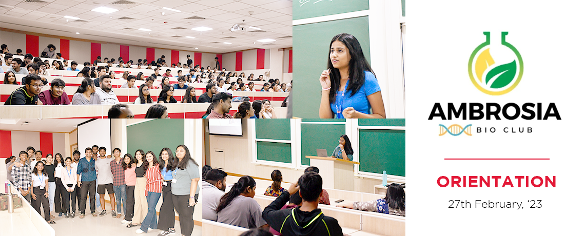 Ambrosia Orientation Program