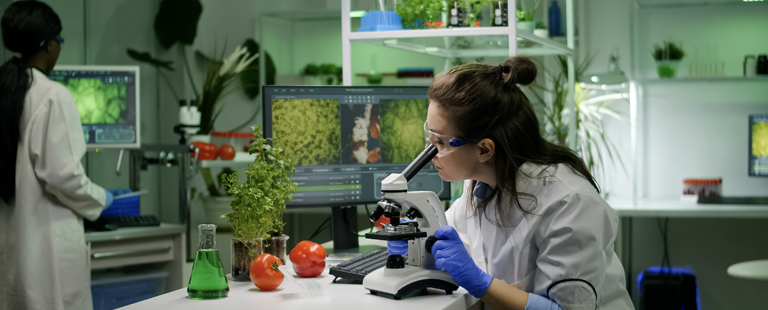 M.Sc. Biotechnology The 2026 Guide for Science Graduates