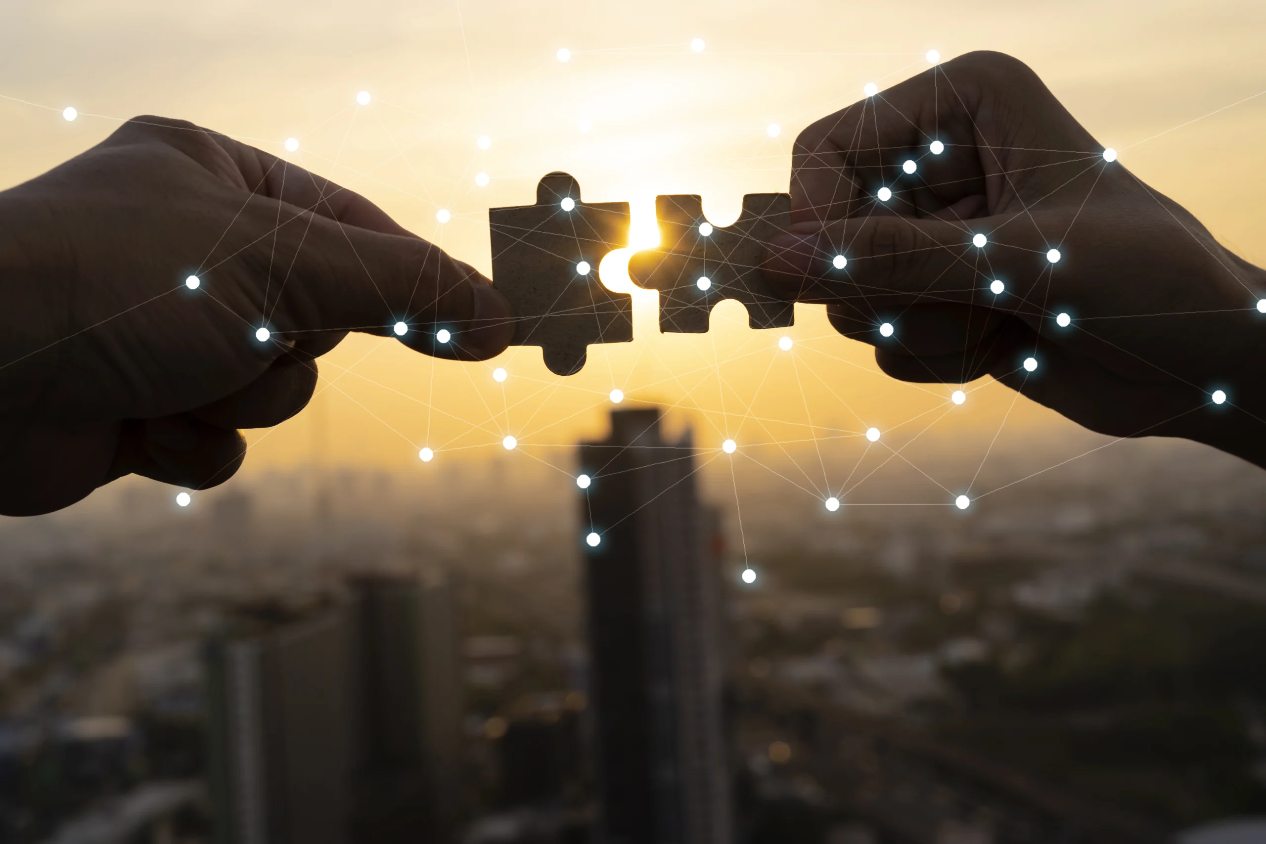 Flagship initiatives