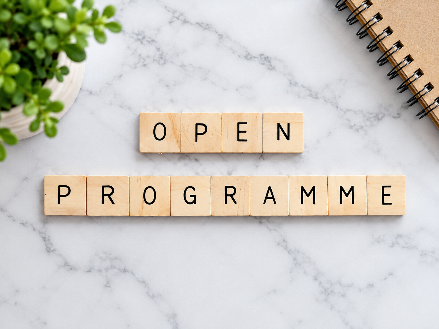 Open Programme Categories